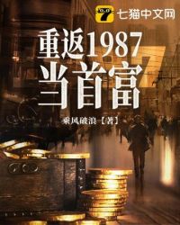 重返1987当首富